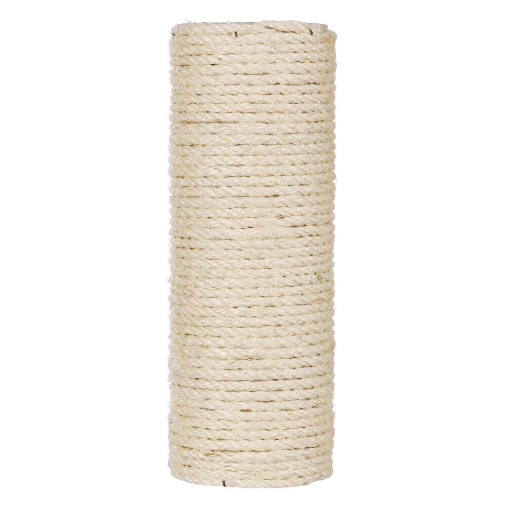 Stamm, Sisal