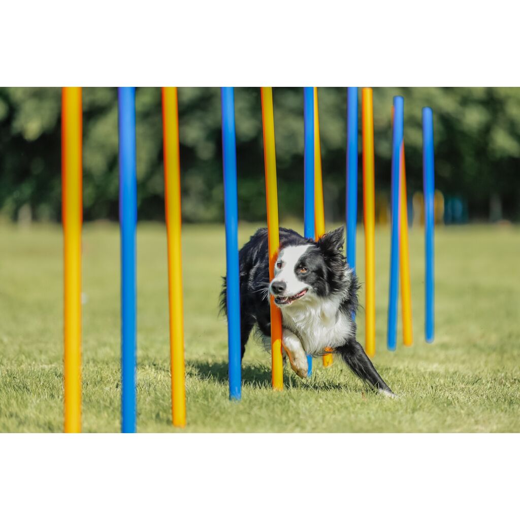 Fun Agility Slalom, Kunststoff