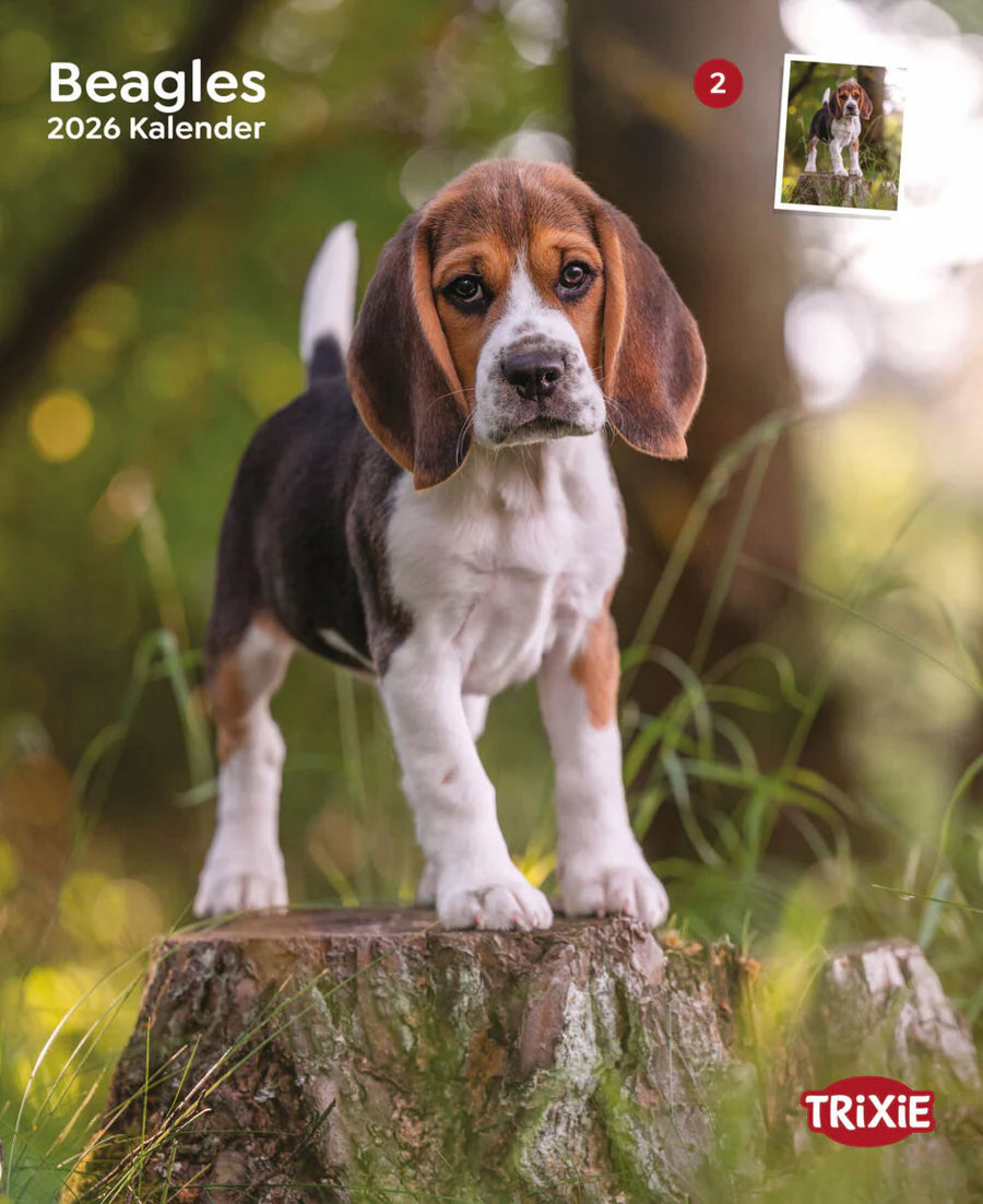 Kalender Beagles