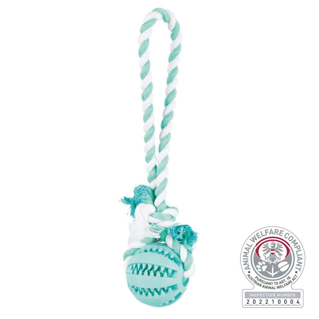 Denta Fun Ball am Tau, Minzgeschmack, Naturgummi