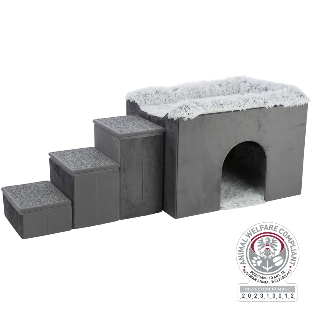 Höhle Harvey mit Treppe