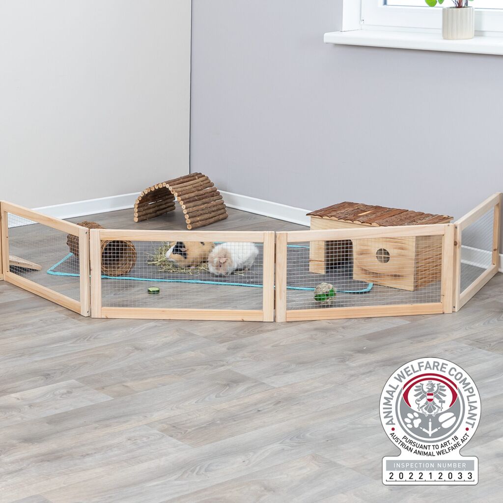 Indoor Freilaufgehege, Meerschweinchen