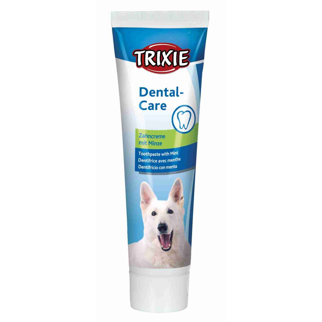 Zahncreme mit Minze, Hund