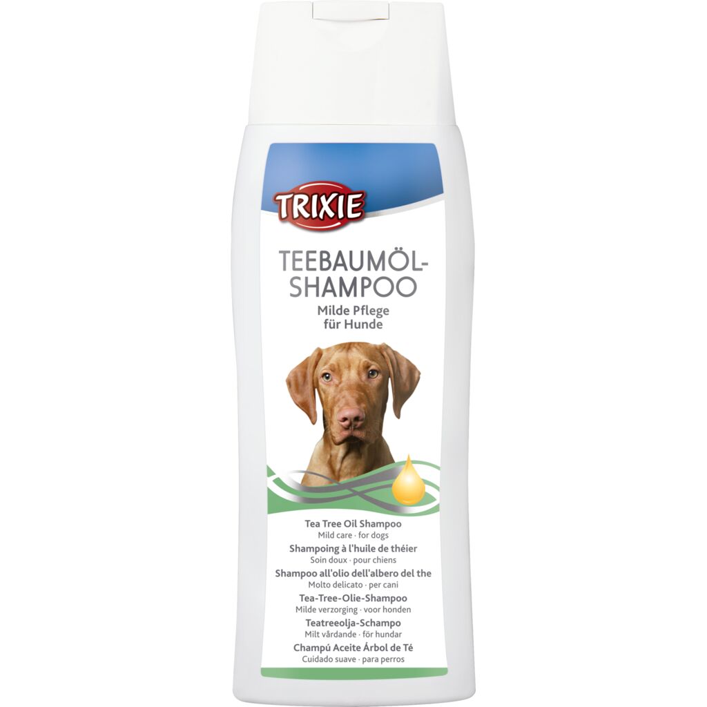 Teebaumöl-Shampoo