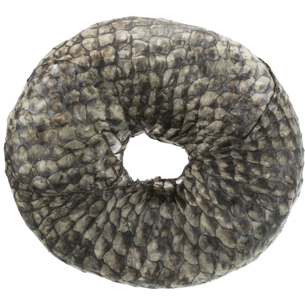 Denta Fun Ring mit Weißfisch, lose