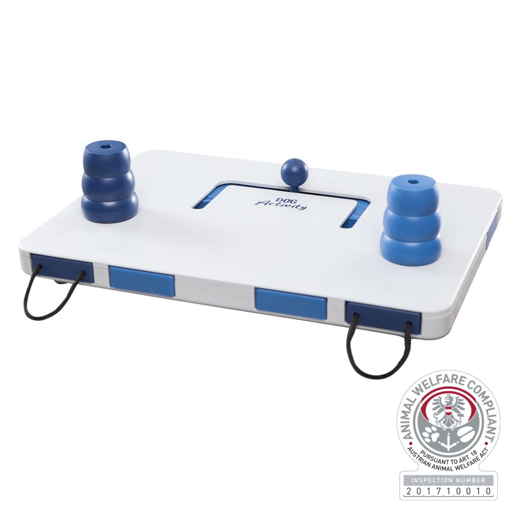 Dog Activity Strategie-Spiel Move2Win