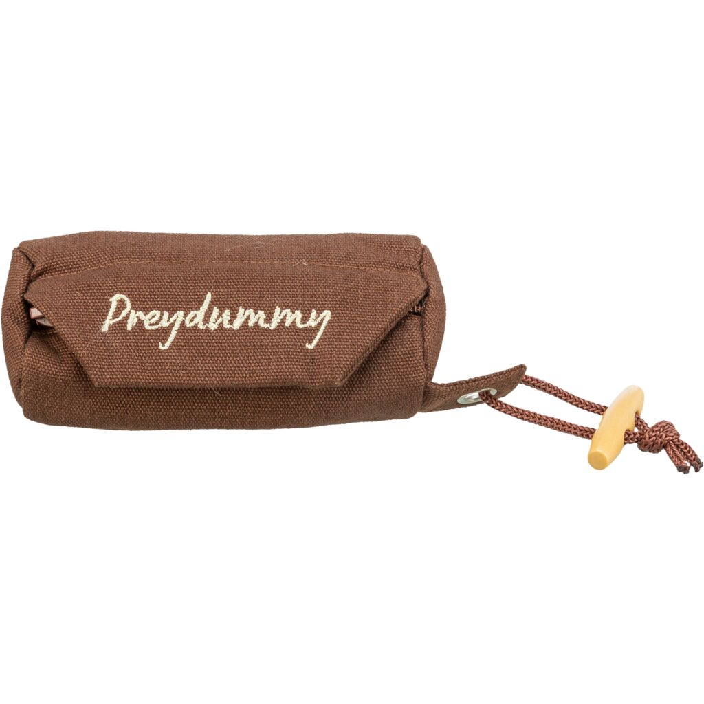 Preydummy, Canvas