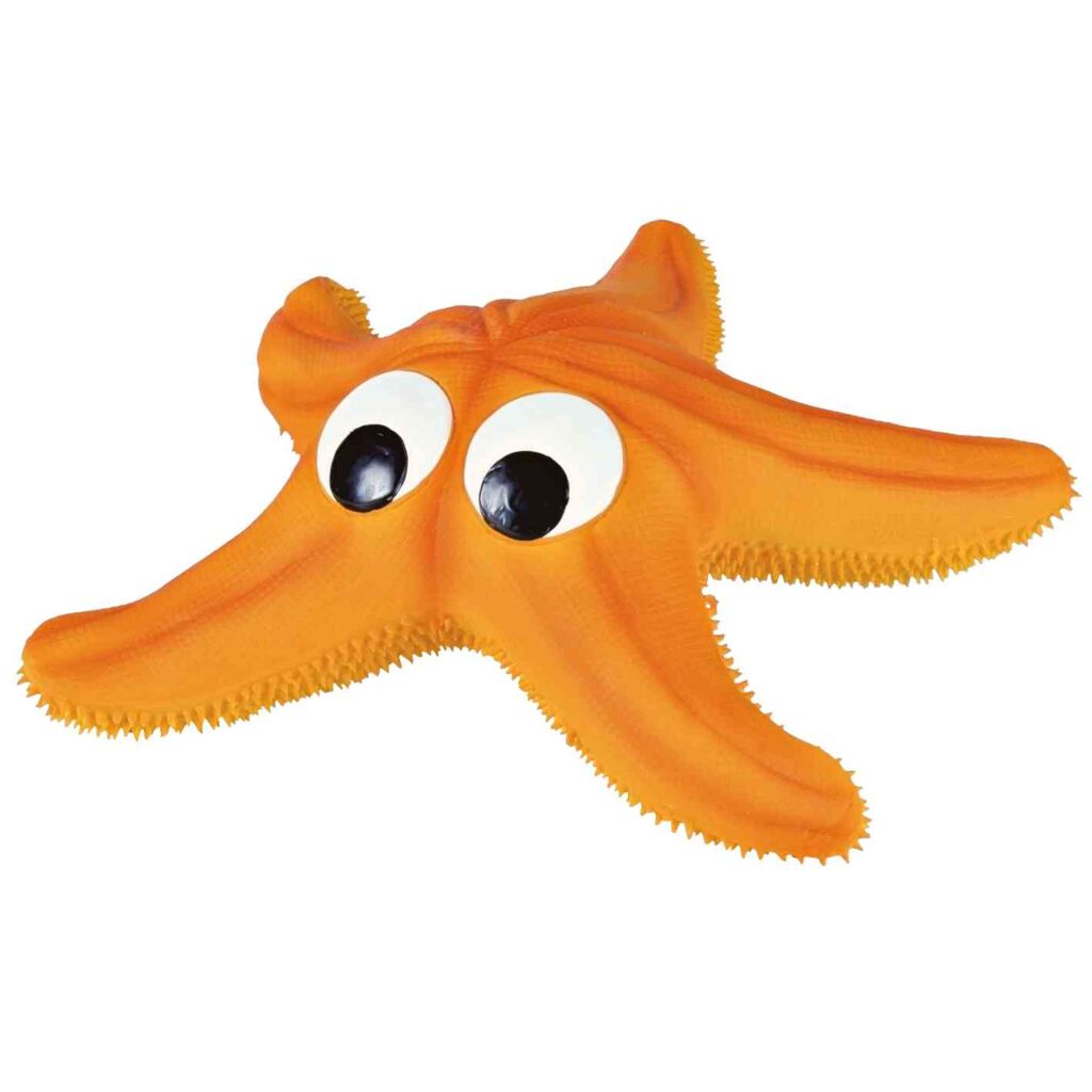 Seestern, Latex/Polyestervlies