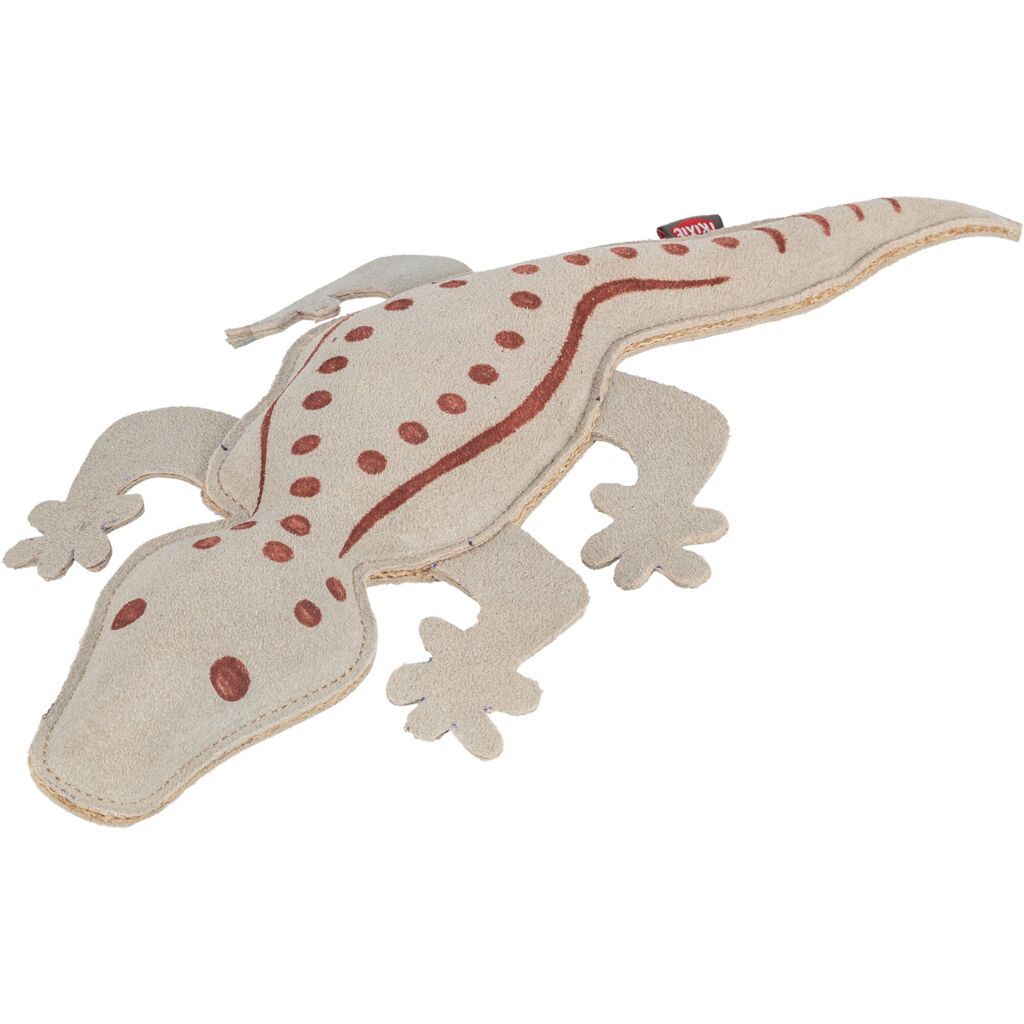Salamander, Leder