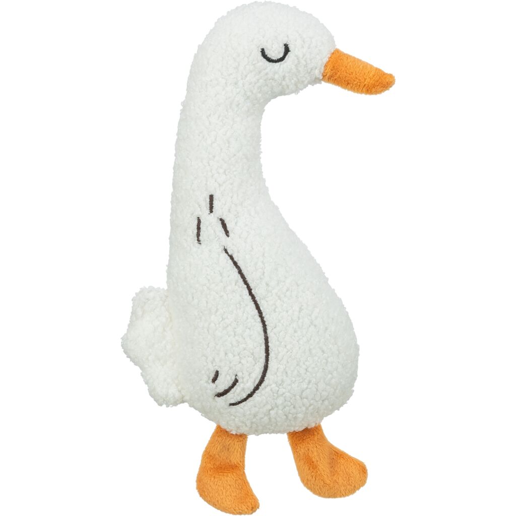 Gans