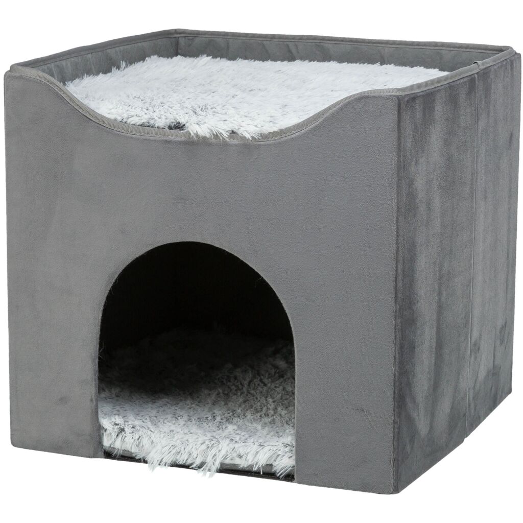 Höhle Harvey