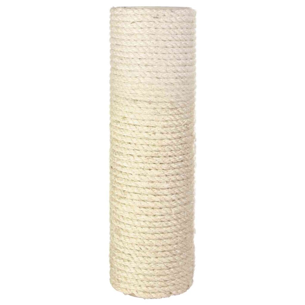 Stamm, Sisal