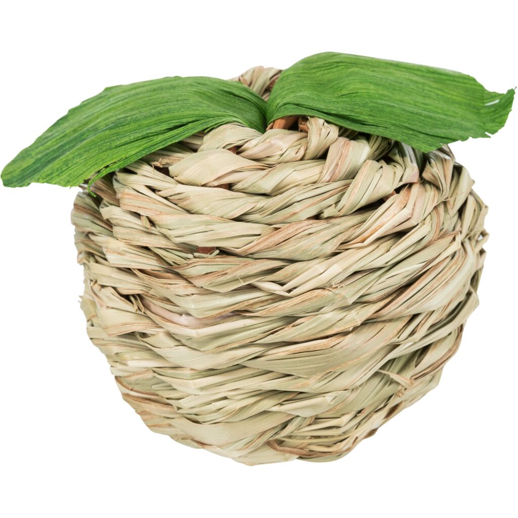 Apfel mit Lieschblatt, Gras