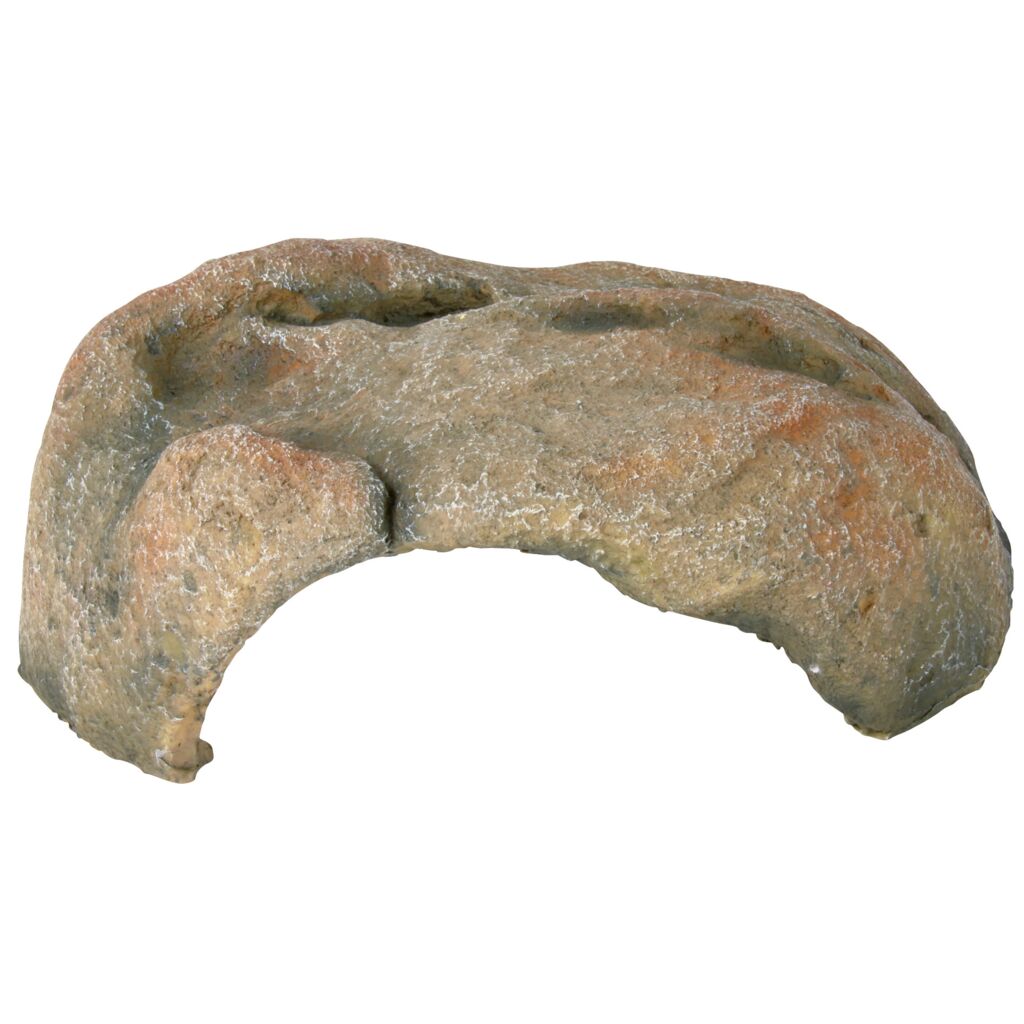 Reptilienhöhle