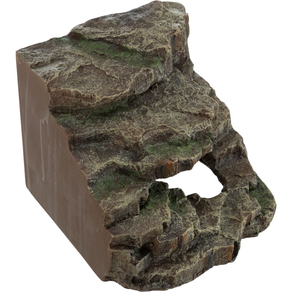 Eck-Fels mit Höhle und Plattform, Regenwald