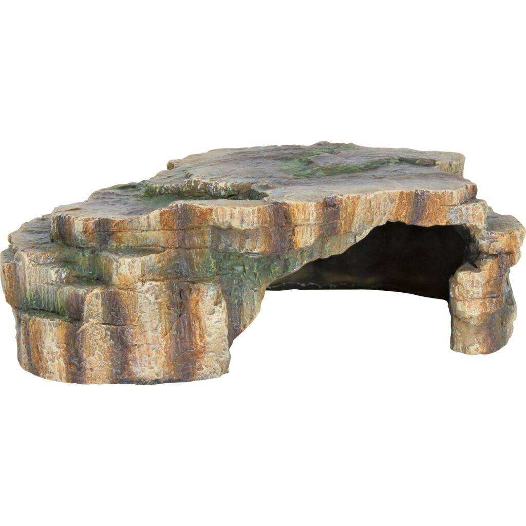 Reptilienhöhle