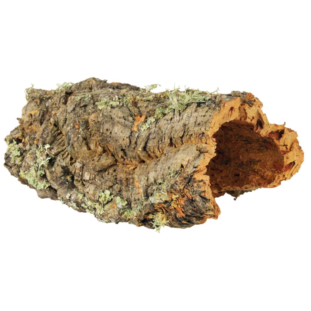 Korkplatte
