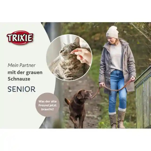 Broschüre Senior