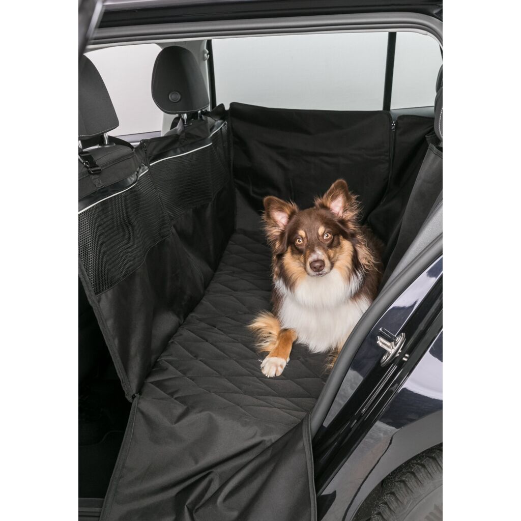 Auto-Schondecke