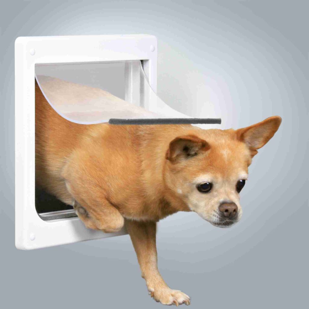 2-Wege Freilauftür für Hunde, mit Tunnel