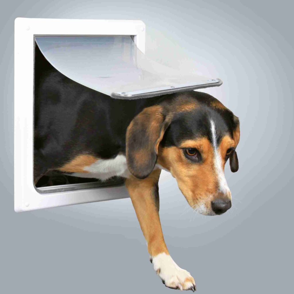 2-Wege Freilauftür für Hunde, mit Tunnel