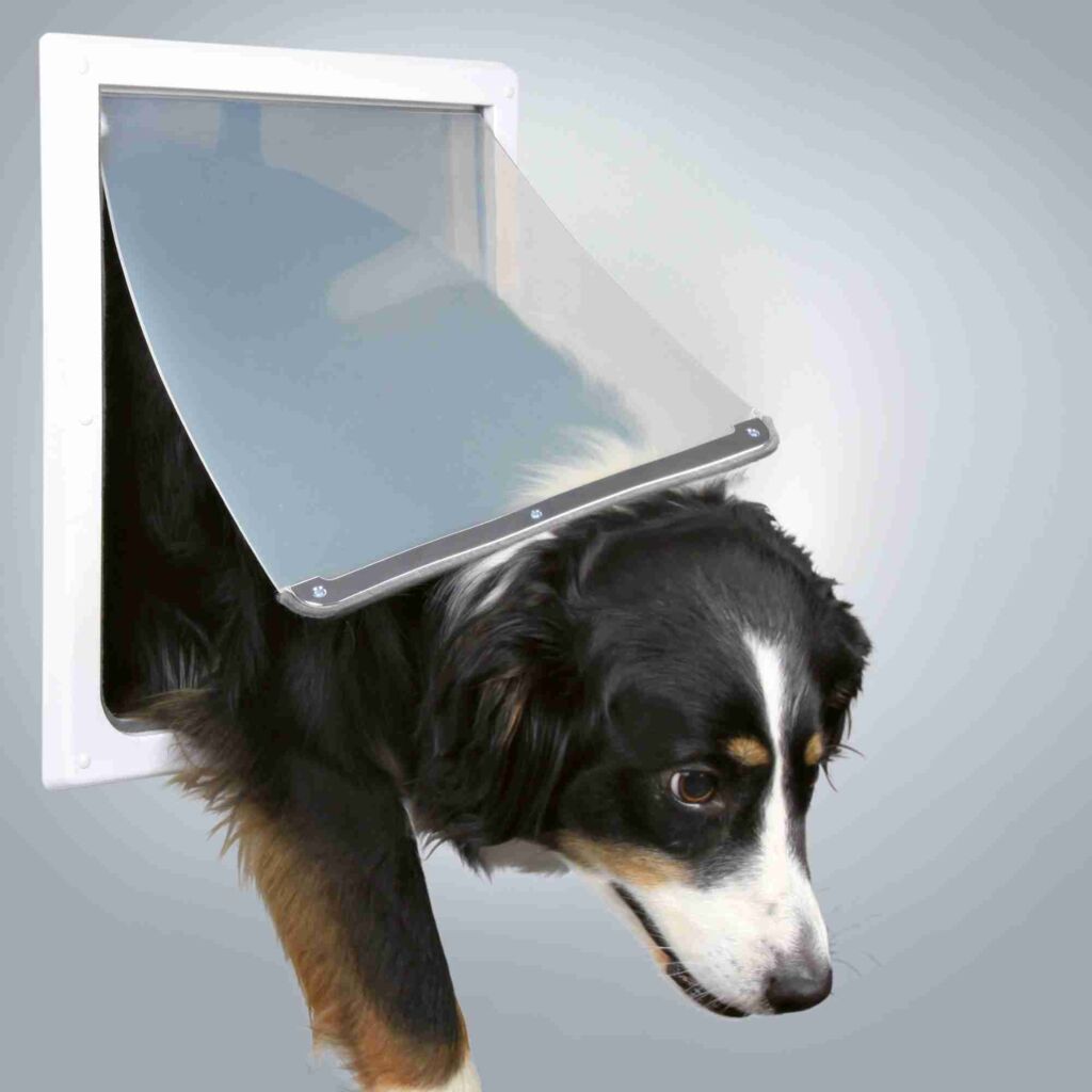 2-Wege Freilauftür für Hunde, mit Tunnel