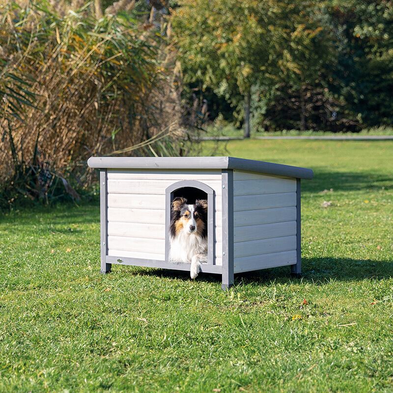 natura Hundehütte Classic Flachdach