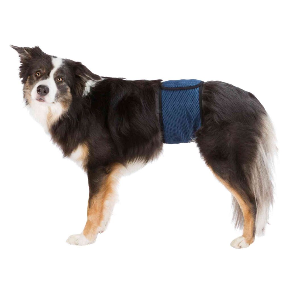 Windeln für Rüden, Mesh-Material