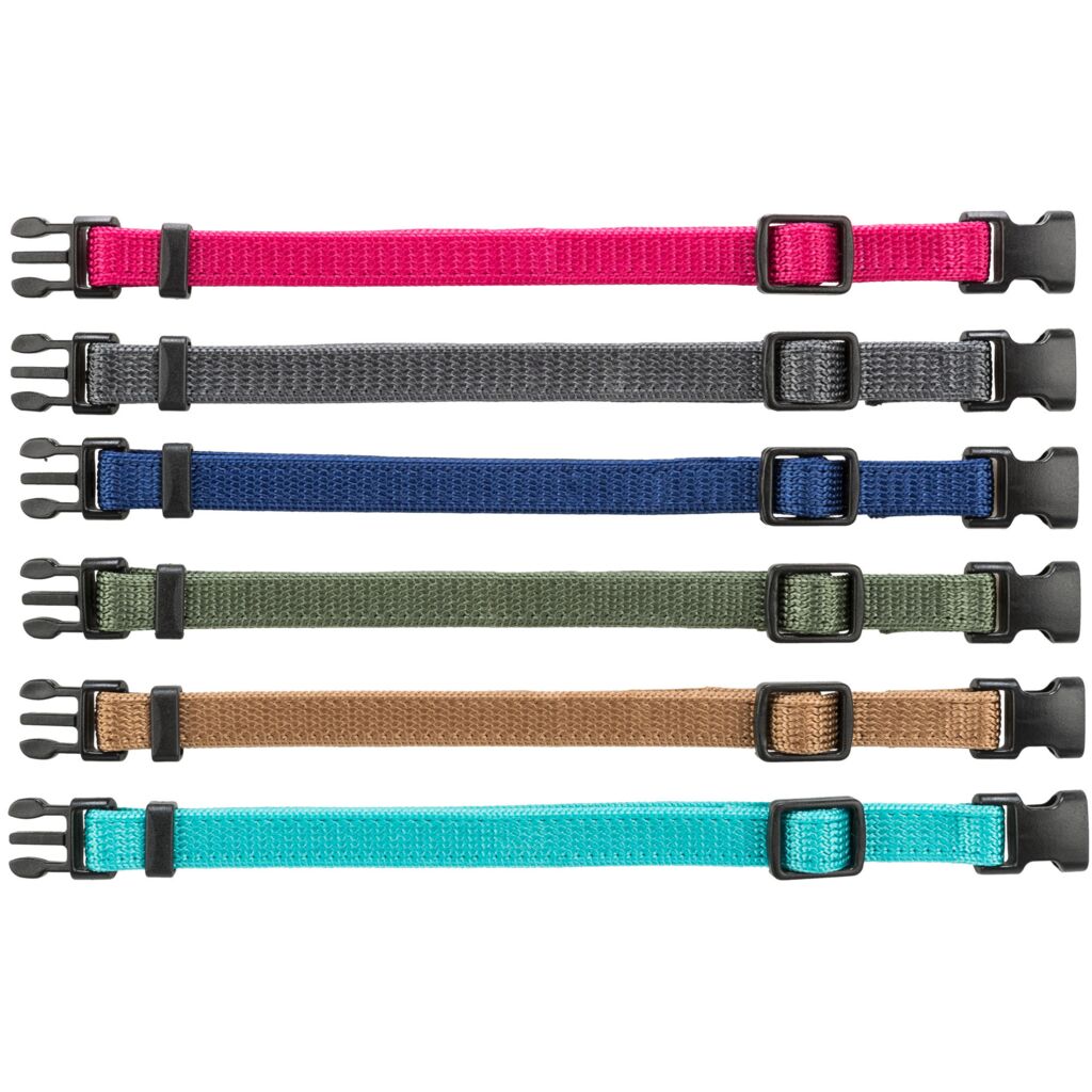 Junior Set Welpenhalsbänder