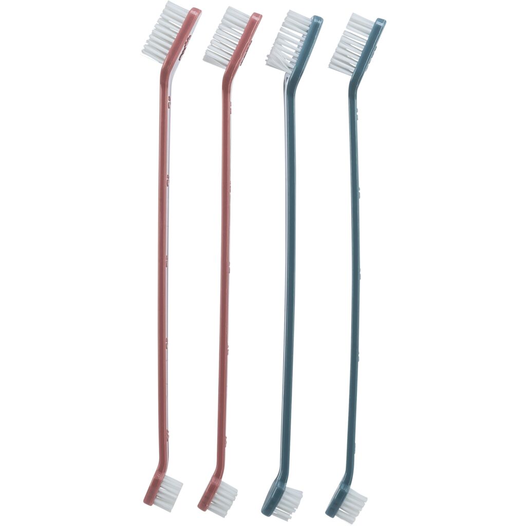 Zahnbürsten-Set
