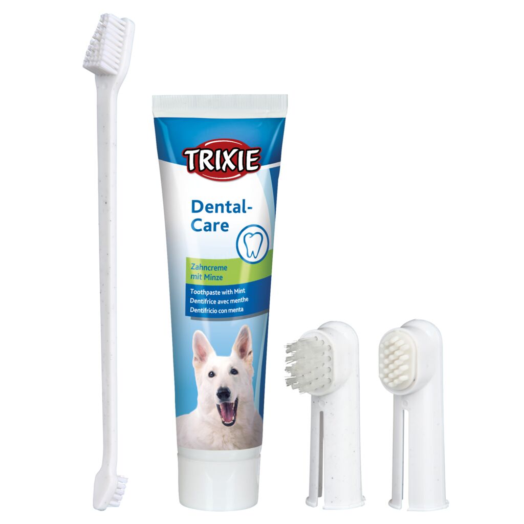 Zahnpflege-Set, Hund